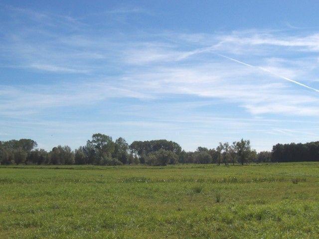 Zur-Alten-Schmiede-Ii Boltenhagen  Exteriör bild